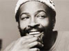 Marvin Gaye